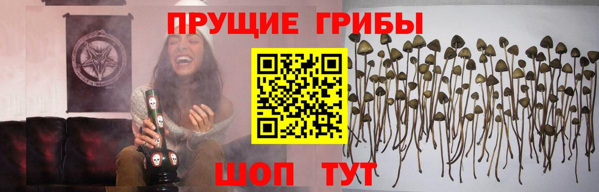 Галлюциногенные грибы прущие грибы  Галлюциногенные грибы Magic Shrooms  Лабинск  Вход с VPN 